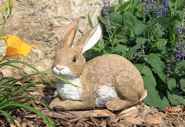 Garden Statues for Animal Lovers