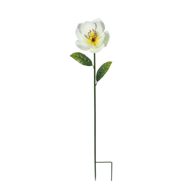 Grand magnolia de jardin