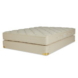 Classic 9.5'' Medium Latex Mattress and Box Spring Set