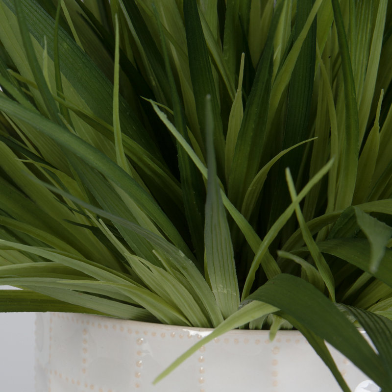 Ensemble de 2 plantes vertes en pot