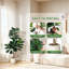 48cm Plant