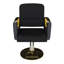 Chaise de salon hydraulique (paquet simple)