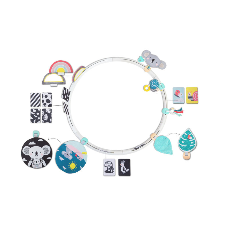 Baby Gym Mat