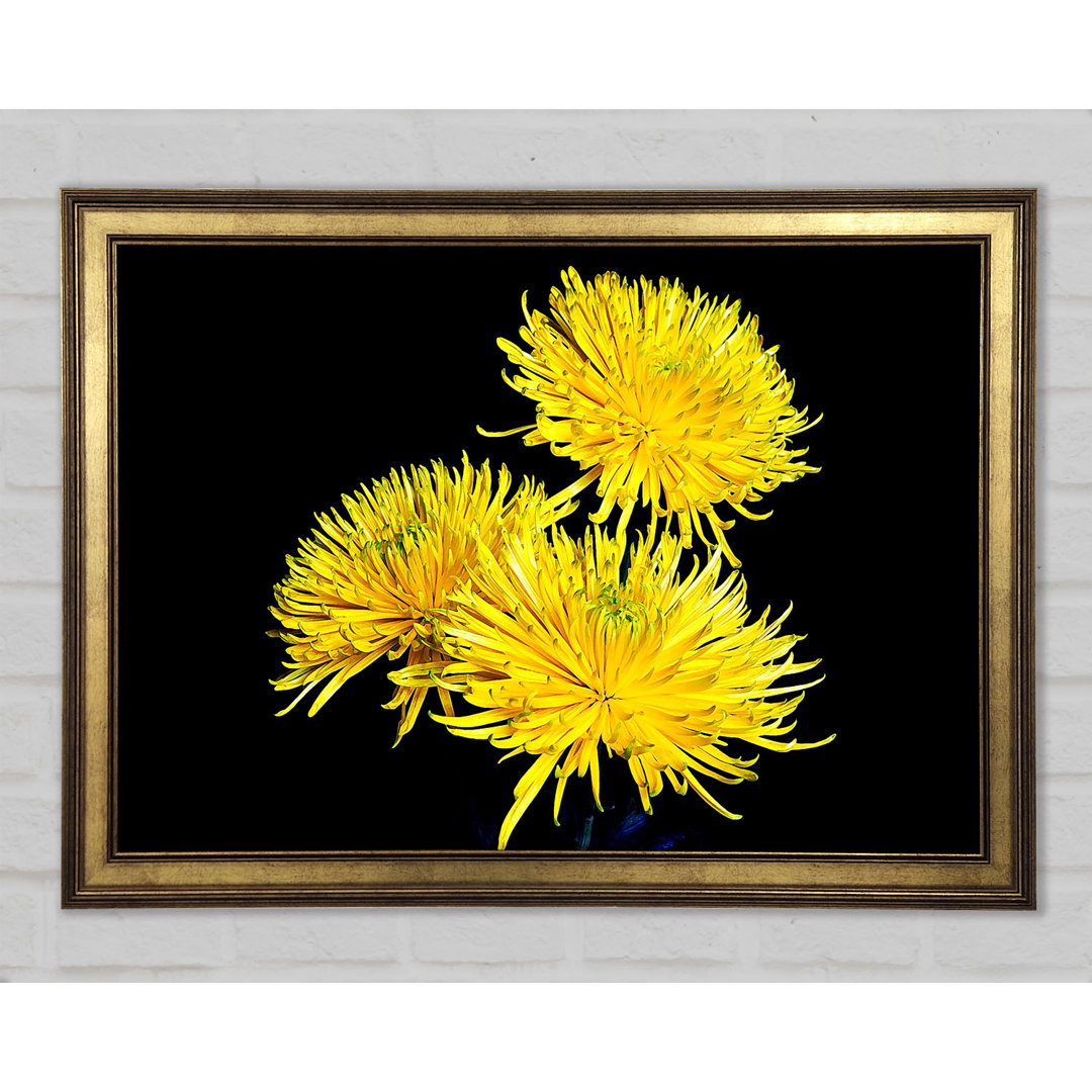 Dandelion Delight - Einzelner Bilderrahmen Kunstdrucke