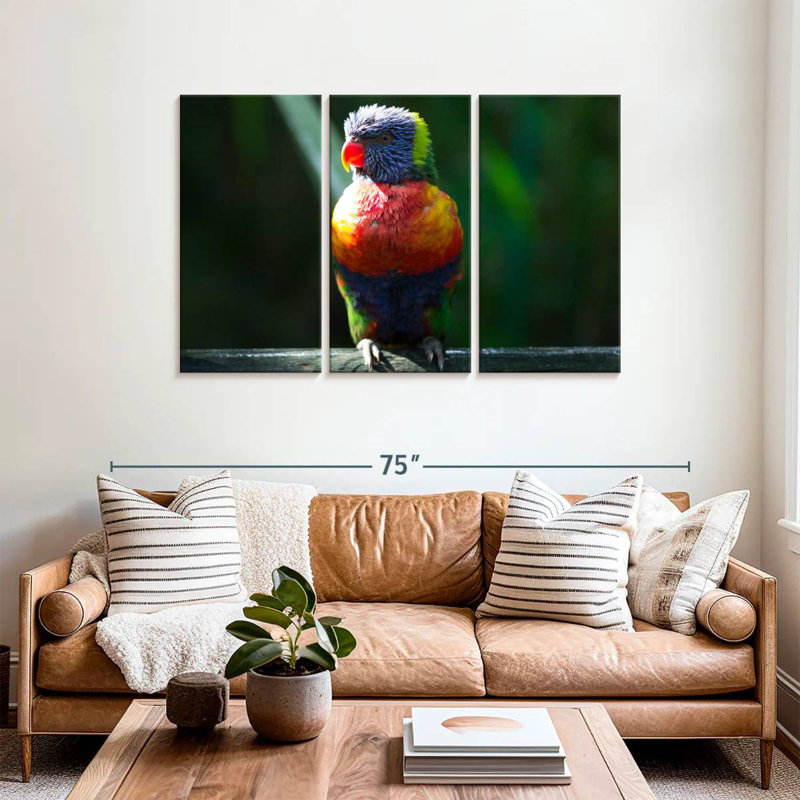 Brampt Sunlit Rainbow Lorikeet, 36" H x 57" W