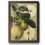«Apple Harvest I», peinture sur toile encadrée-378594811