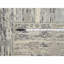 Steggall One-of-a-Kind Runner 2'7" X 23'8" New Age Runner Area Rug in Grey