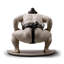 Sumo Fighter
