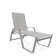 Holna Outdoor Rust-Resistant Metal Chaise Lounge