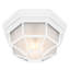 Natividad Glass Flush Mount
