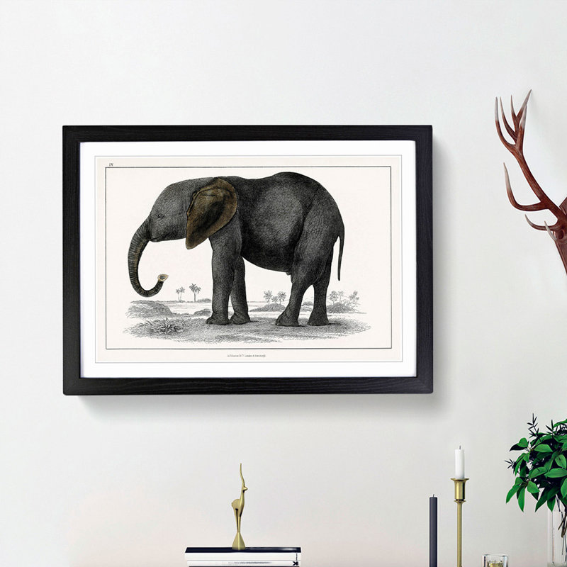 Elephant by Oliver Goldsmith - Picture Frame Painting Print, Black Framed, 48cm H x 65cm W x 2cm D