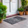  Mahaney Indoor/Outdoor Area Rug with Non-Slip Backing