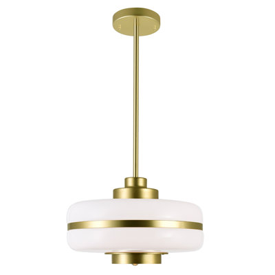 Luminaire suspendu linéaire moderne à 1 lumière