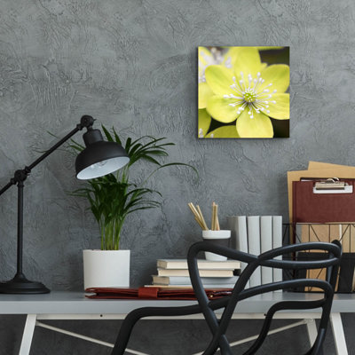 " Yellow Blossom " by PhotoINC Studio