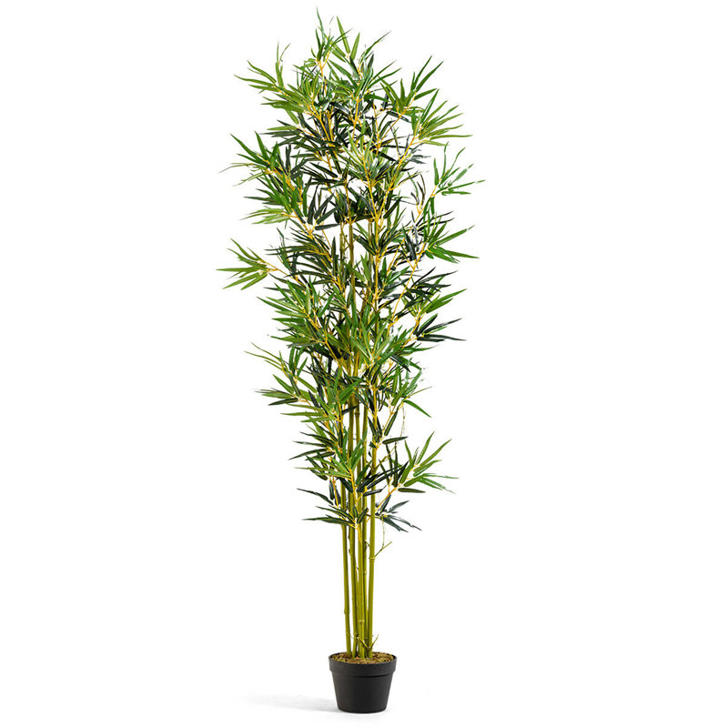 Faux bambou en pot