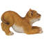 Tibesti Lion Cub of the Sahara Statue