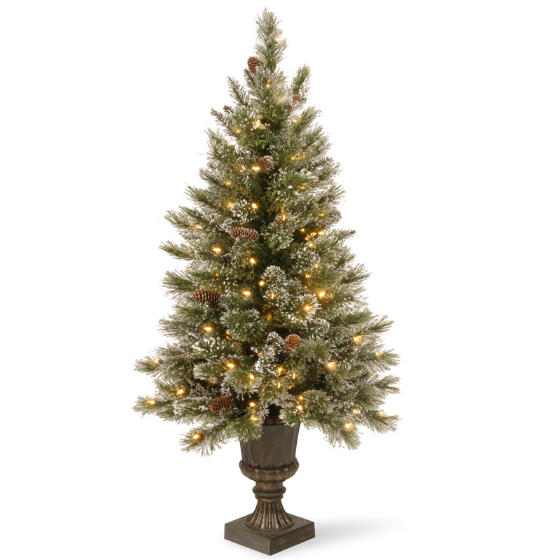 Glittery Bristle Entrance Tree with Clear Lights, 4' H