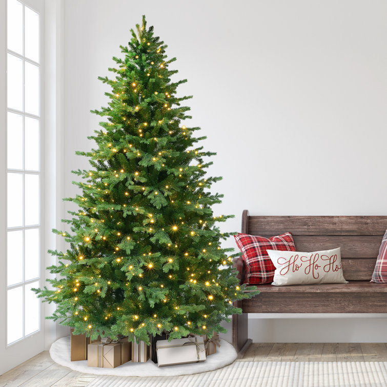 The Holiday Aisle® 7.5' Lighted Fir Christmas Tree & Reviews