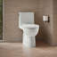 Reach™ 1.28 GPF Water Efficient Elongated Toilet-107149312