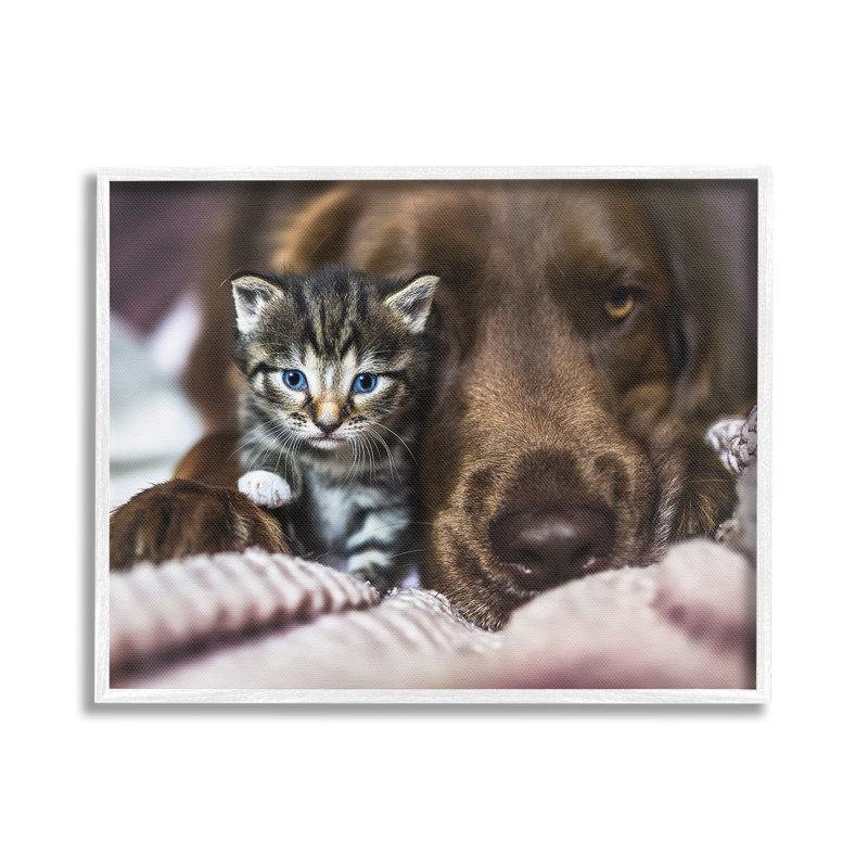 Chaton et chien se blottissant, estampe numérique de Natalie Grosse, Estampe numérique encadrée blanc bord de mer