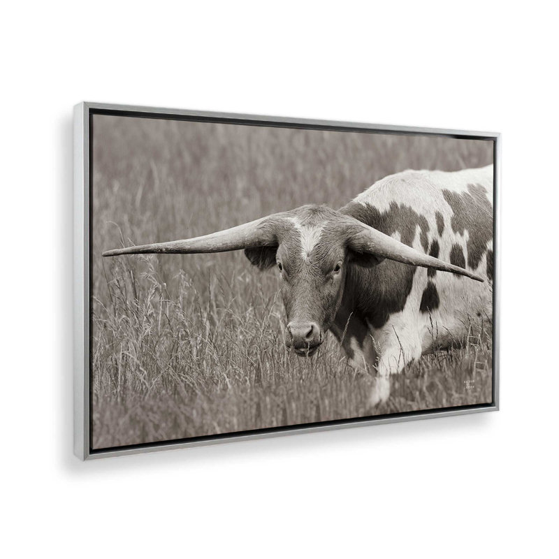 «Rainy Pasture I BW» par Nathan Larson, reproduction d'art, 12 W x 8 H, Argent, Framed Canvas