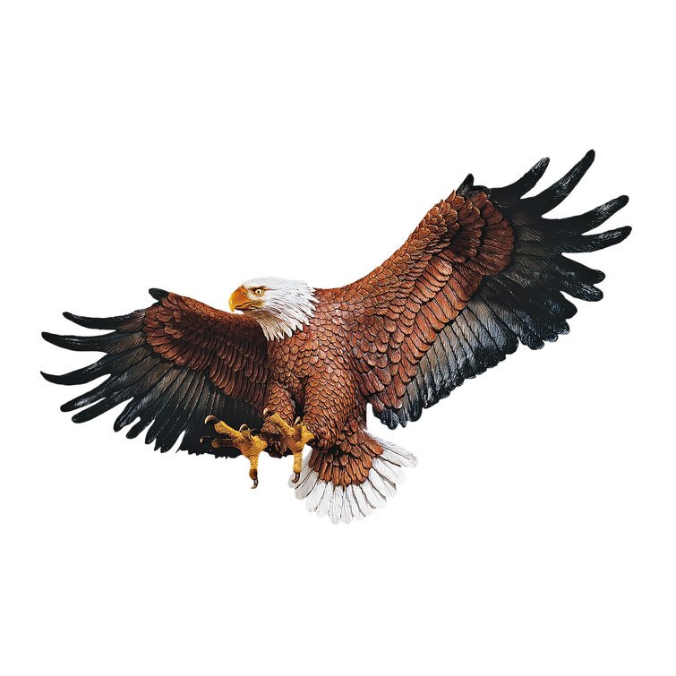 Freedom Eagle Png, Patriotic sublimation designs downloads, Eagle shir –  Rusty Roost Designs