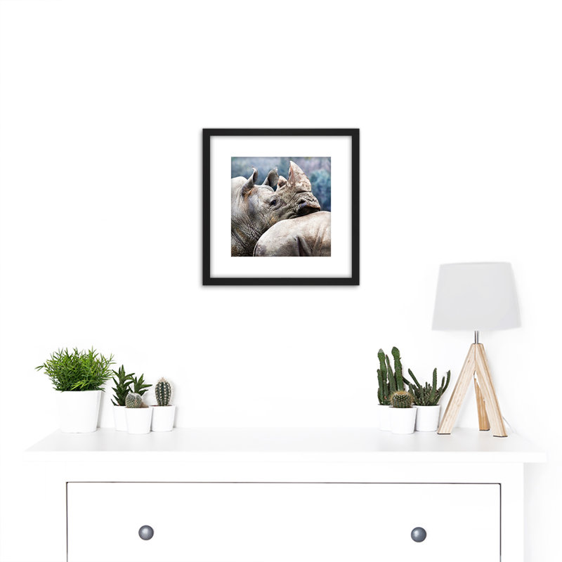Marion Rhinoceros Leaning Head Animal Wildlife Photo - Single Picture Frame Print
