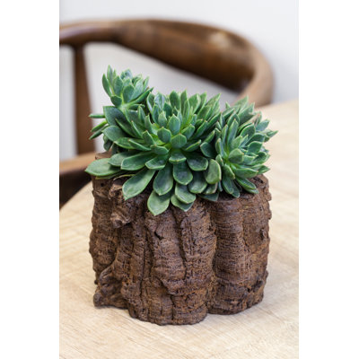 Dunnstown Handmade Statue Planter