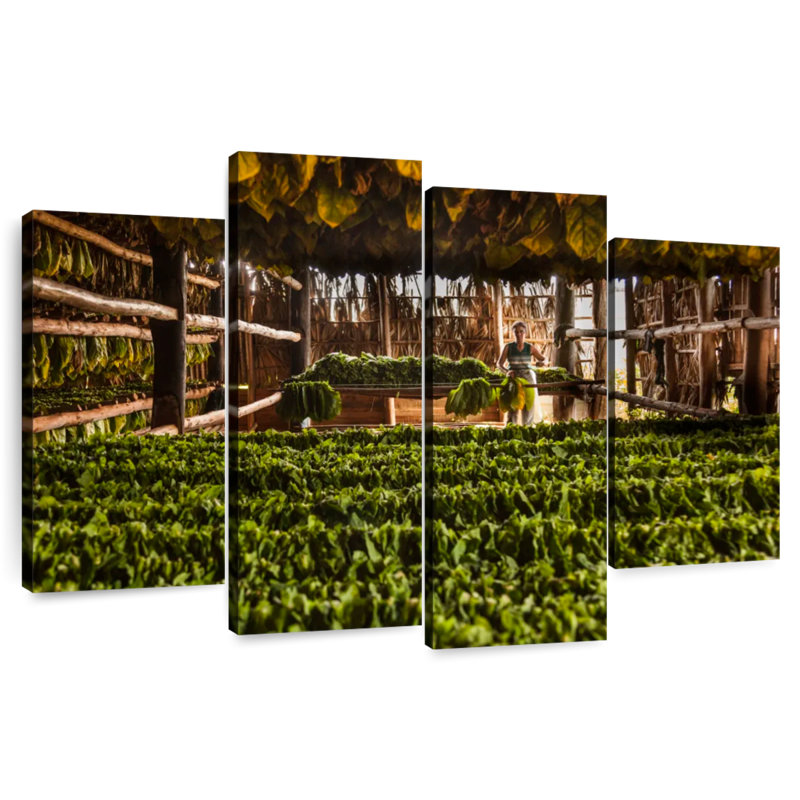 Harnek Tobacco Barn