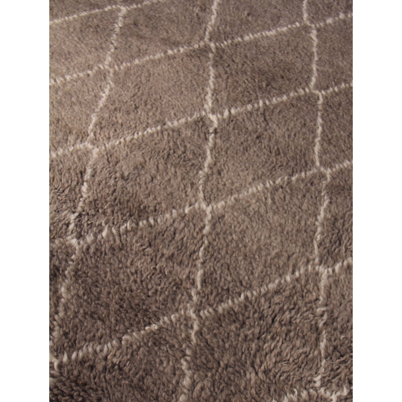 Moroccan Wool Geometric Area Rug, Rectangle 10' x 14'