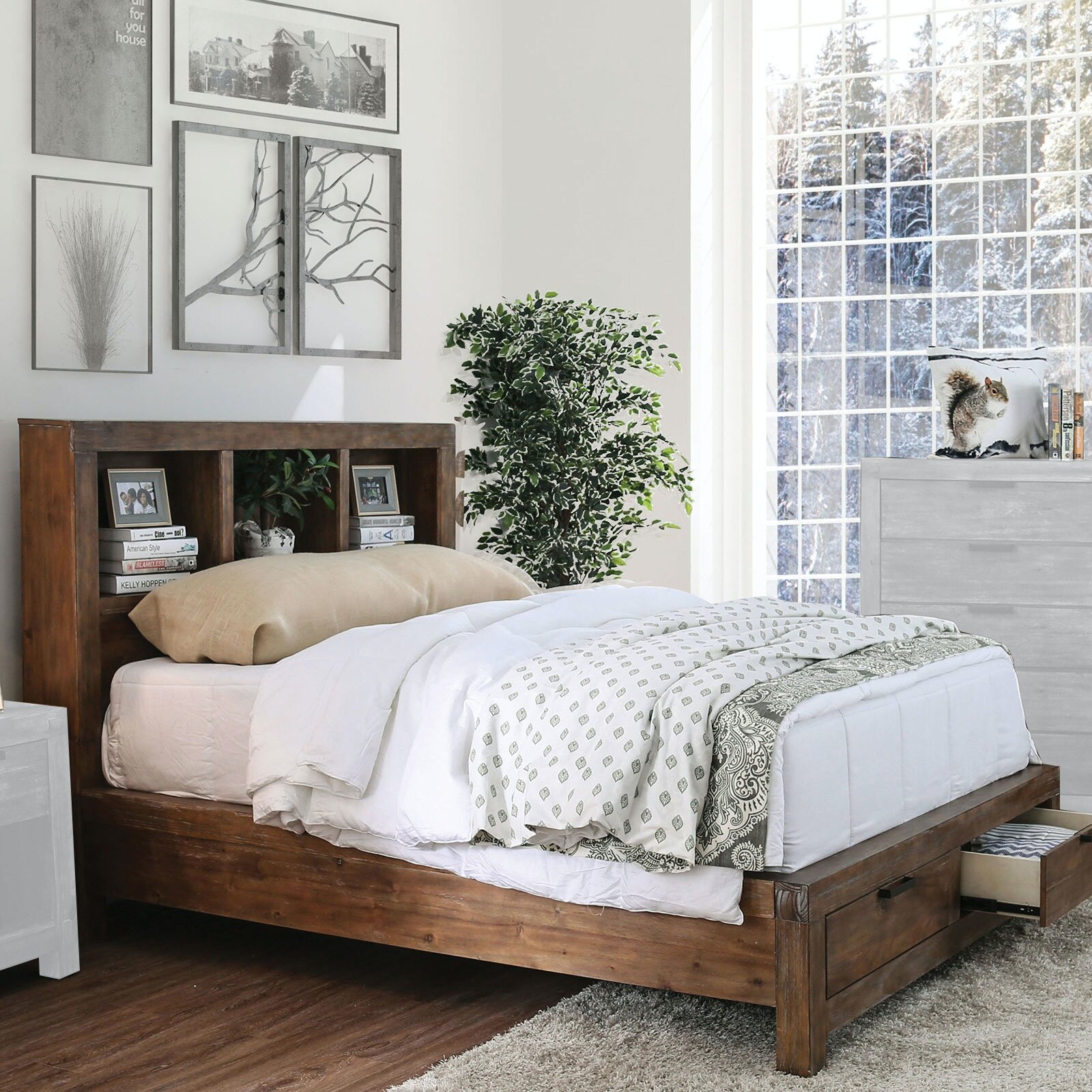 Loon Peak® Salemburg Bookcase Bed 