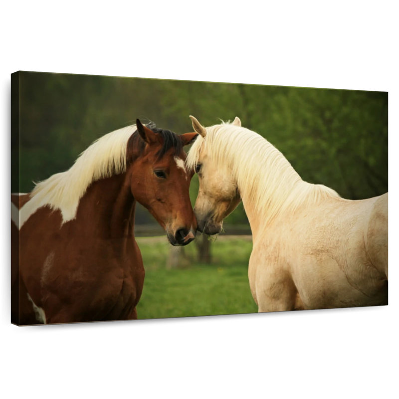 Chevaux Brampt, H 26 po x l 39 po