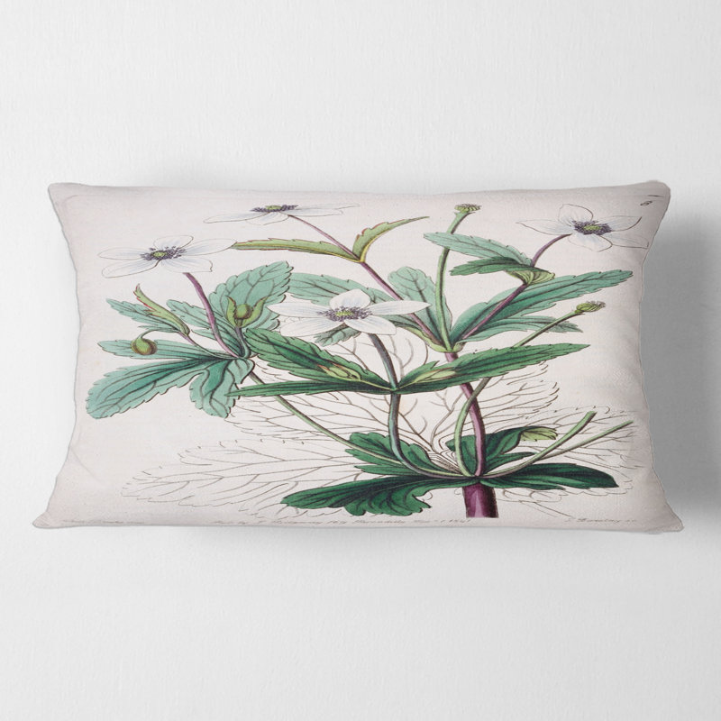 Vintage Plant Life XXI - coussin traditionnel imprimé
