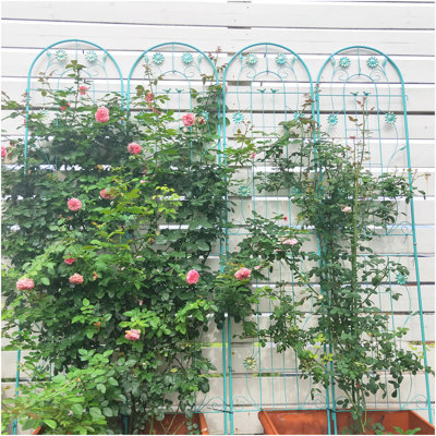 Paquet de 4 treillis de jardin en métal 71 po x 19,7 po antirouille pour plantes grimpantes