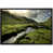 Black Framed selected