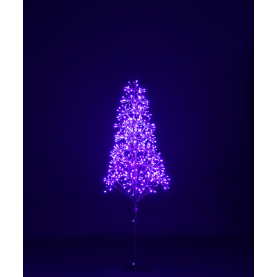 Lighted Trees & Branches