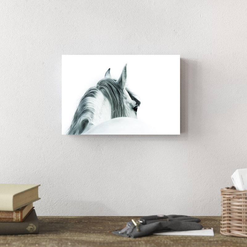 Cheval noir et blanc - Photographie sur toile tendue, H 8 po x l 12 po, Non, Toile avec cadre blanc