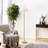 Jadyn 67.75" H Traditional Floor Lamp