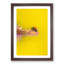 Ladybird - Picture Frame Painting Print-55582419-55582421