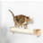Scratching Post