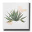 «Desert Color Succulent 1» par Sue Schlabach, art mural sur toile, 26 po x 26 po-2098449