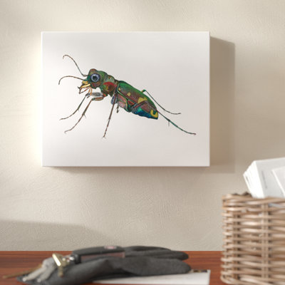 " Tiger Beetle " by Damon Crook