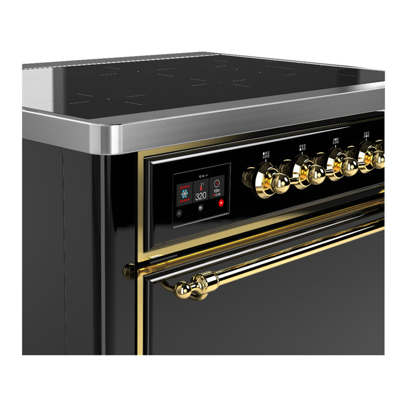 Cuisinière à induction 36 pouces avec 6 éléments à induction en noir brillant (garniture laiton) de la série Majestic III