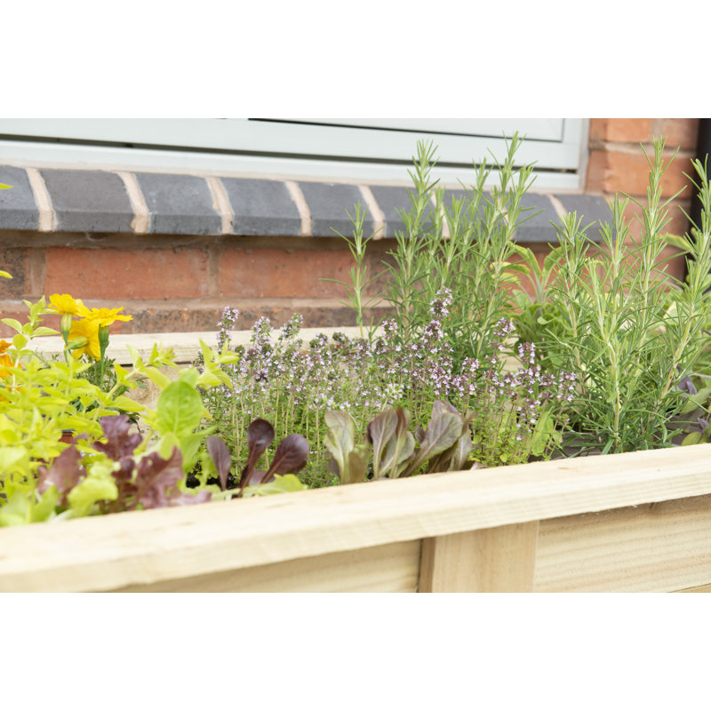 Wood Elevated Planter