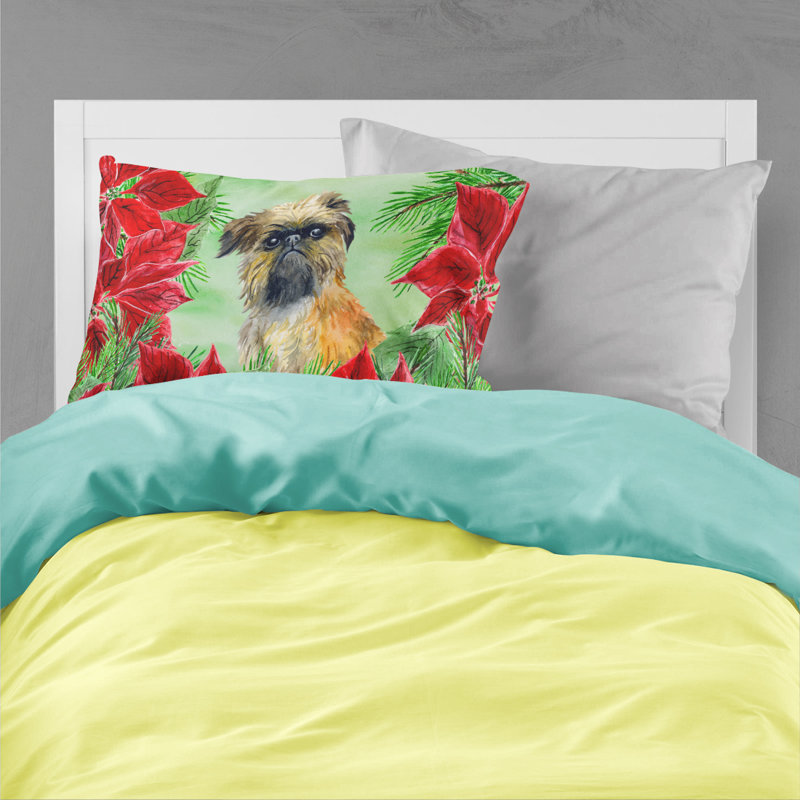 Microfiber, Brussels Griffon