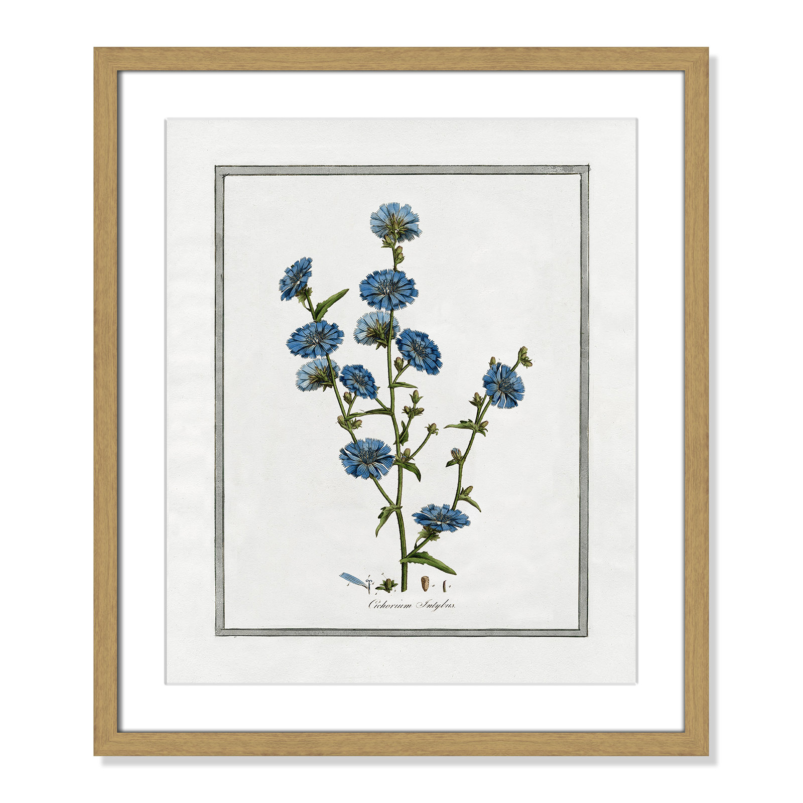 Colombe "Soft Botanical I" Print, 16" W x 19" H, Natural Framed