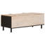 Coffee Table with Storage-1827995489