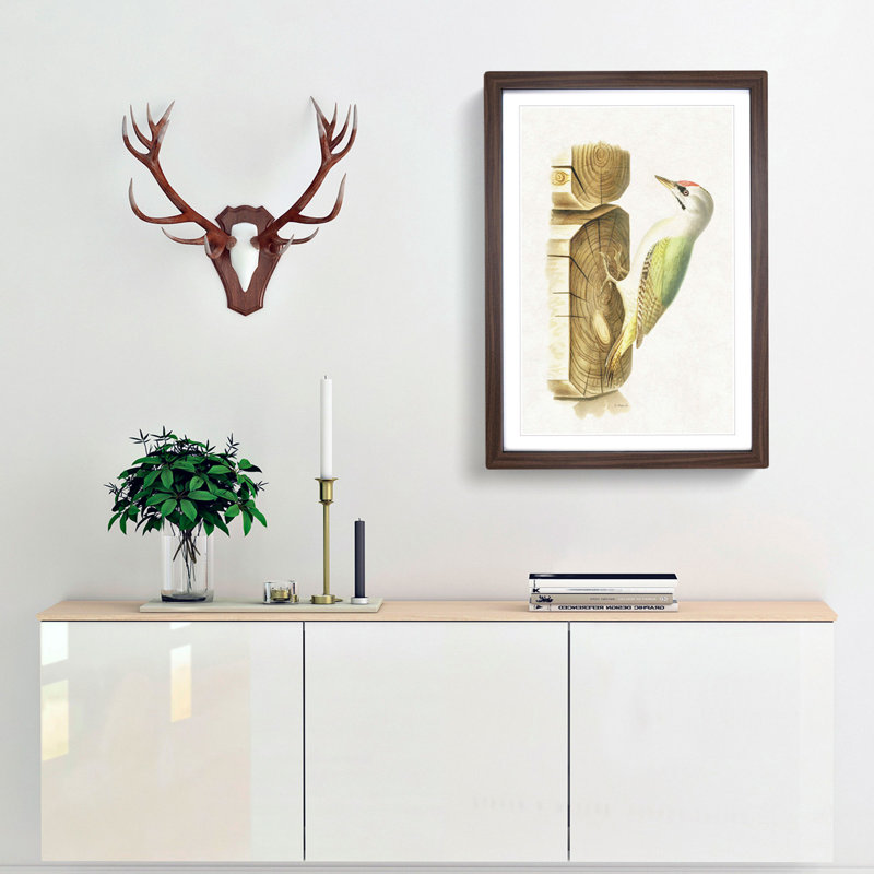 Woodpecker by Von Wright - Picture Frame Painting Print, 50cm H x 35cm W x 2cm D, Walnut