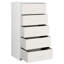 5-Drawer Dresser With Large Fabric Drawers