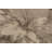 Trombley Floral Indoor Rug-358413972